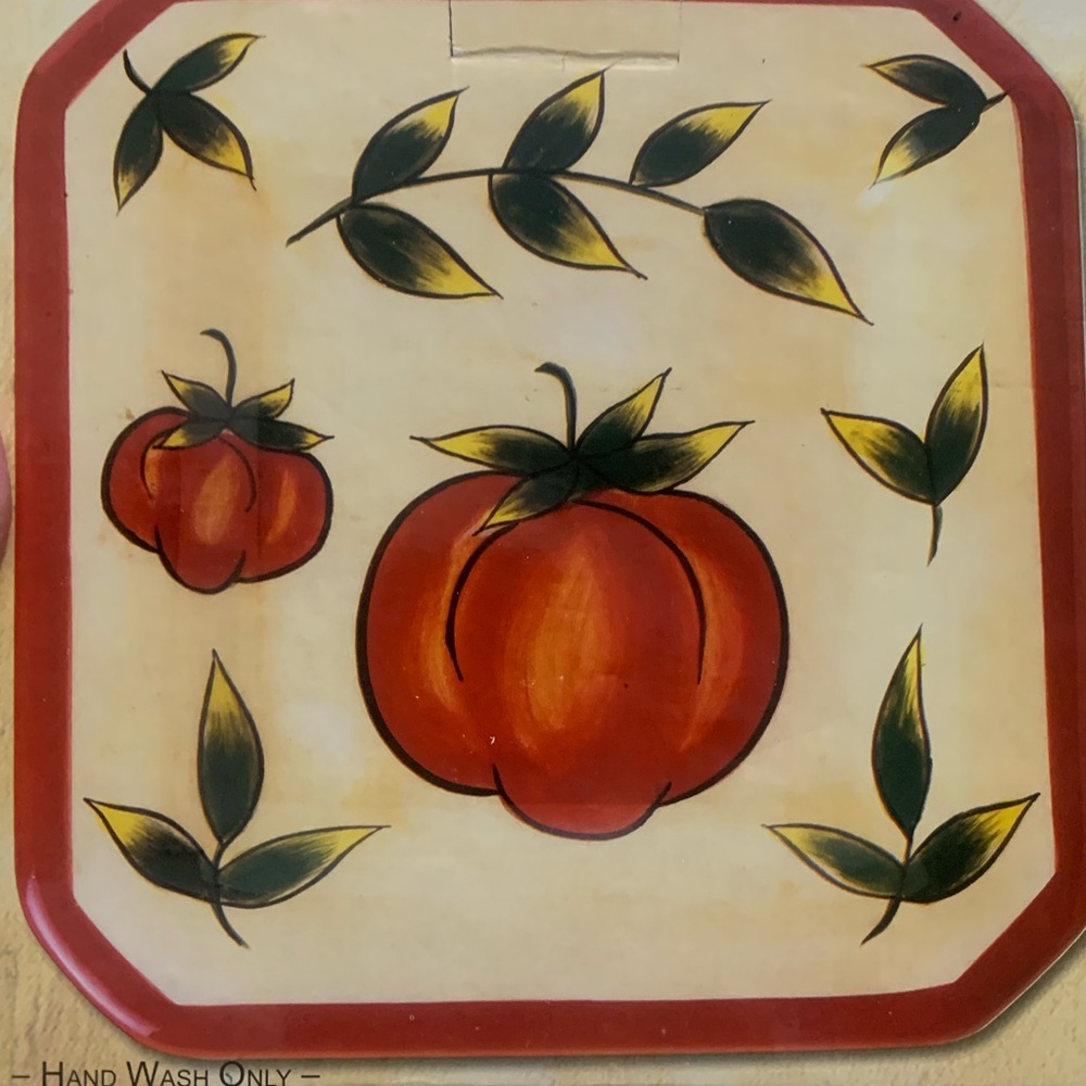 Vintage Source Unknown Rustic Red and Green Plate